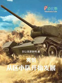 亮剑:从区小队开始发展